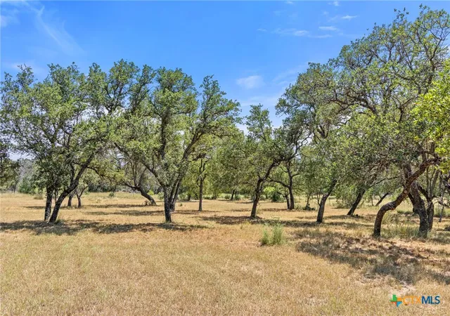 Homes for sale in Johnson City, TX | Lot 17 Stonegate Ct, Johnson City, TX 78636 | MLS# 591561