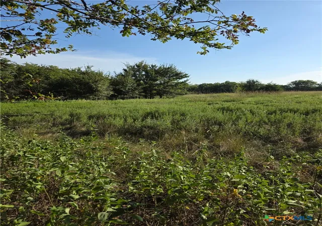 Homes for sale in Groesbeck, TX | Tbd N Grayson St, Groesbeck, TX 76642 | MLS# 592020