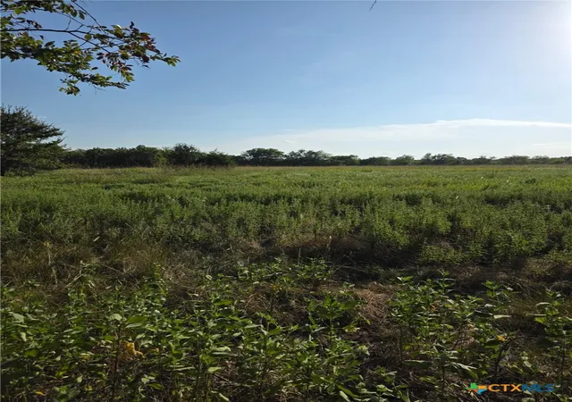 Homes for sale in Groesbeck, TX | Tbd N Grayson St, Groesbeck, TX 76642 | MLS# 592020