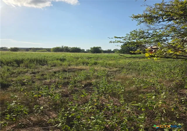 Homes for sale in Groesbeck, TX | Tbd N Grayson St, Groesbeck, TX 76642 | MLS# 592020