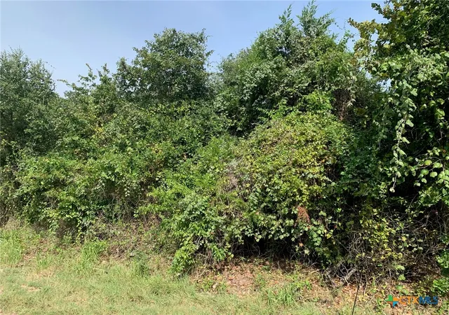 Homes for sale in Chilton, TX | Tbd Cr 414, Chilton, TX 76632 | MLS# 592109