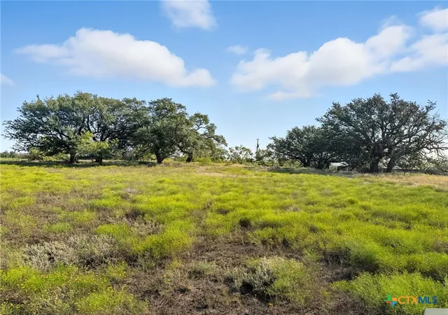 Homes for sale in Hamilton, TX | Tbd Farm Road 221, Hamilton, TX 76565 | MLS# 592833
