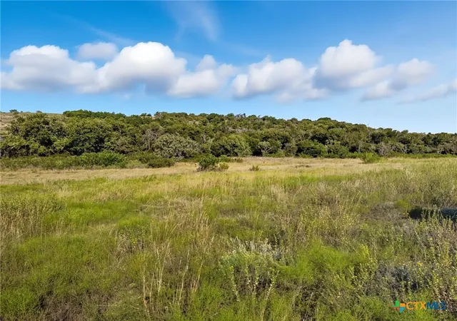 Homes for sale in Hamilton, TX | Tbd Farm Road 221, Hamilton, TX 76565 | MLS# 592833