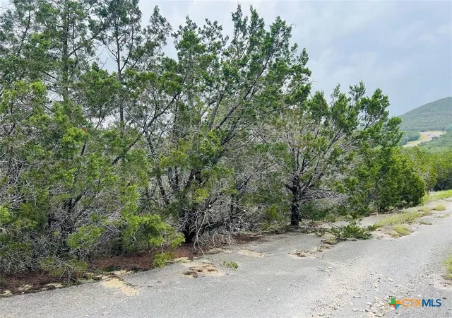 19th image of 21603 Wyoming Pass, Leander, TX 78645 | MLS# 593369