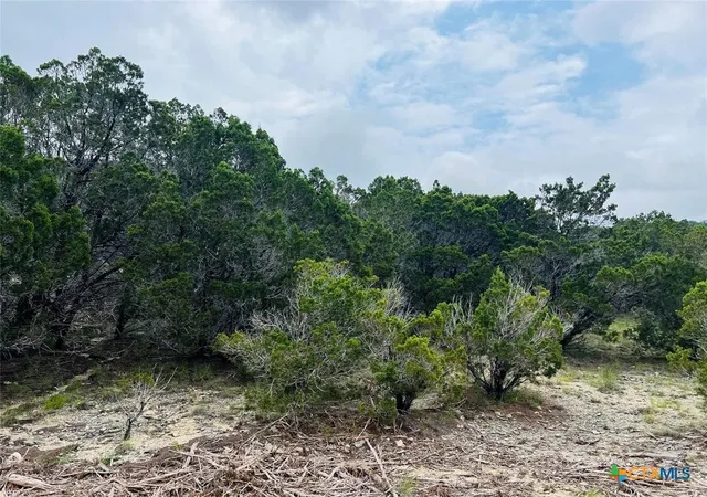 3rd image of 21603 Wyoming Pass, Leander, TX 78645 | MLS# 593369