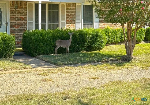 4th image of 1002 Bleu Spur, Copperas Cove, TX 76522 | MLS# 594061