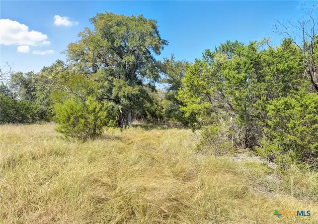 Homes for sale in Evant, TX | Lot 2 Ph 3 Pr 42110, Evant, TX 76525 | MLS# 594149