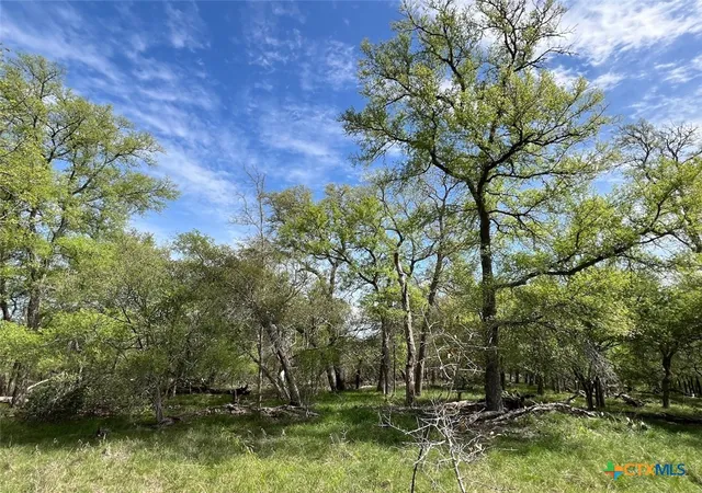 4th image of Tbd Cunningham Dr, Lockhart, TX 78648 | MLS# 594499