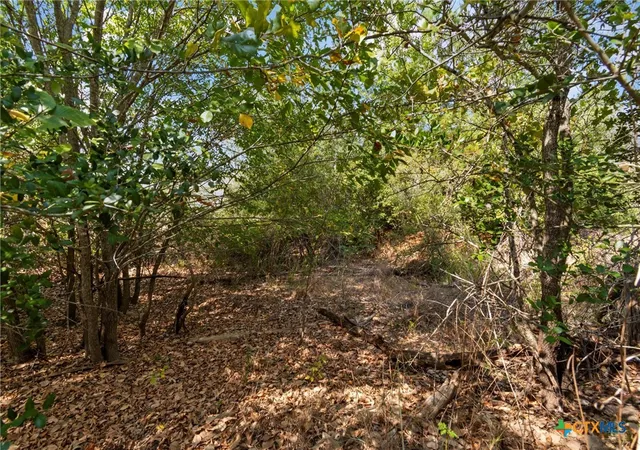 4th image of Tbd Tonkawa Dr, Paige, TX 78659 | MLS# 594536