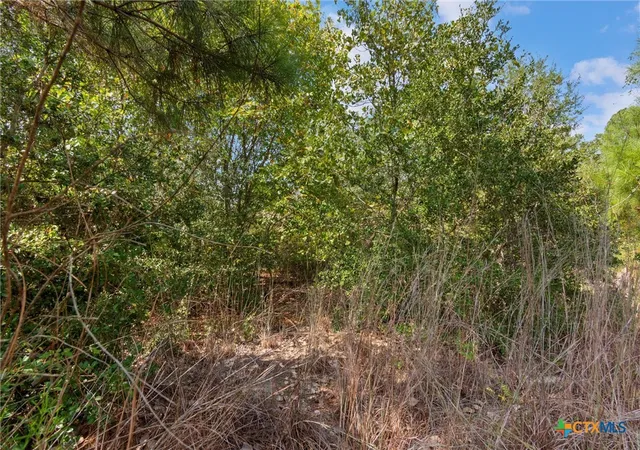 5th image of Tbd Tonkawa Dr, Paige, TX 78659 | MLS# 594536