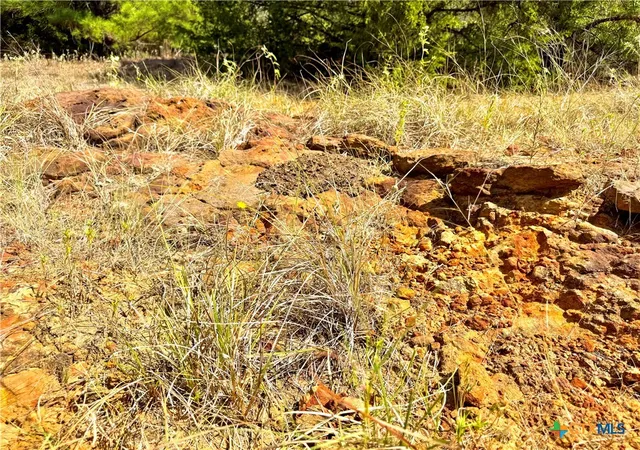 3rd image of Tbd Rabel Road, Rosanky, TX 78953 | MLS# 594568