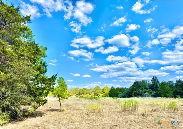 4th image of Tbd Rabel Road, Rosanky, TX 78953 | MLS# 594568