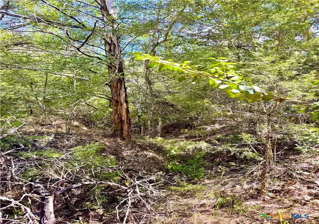 5th image of Tbd Rabel Road, Rosanky, TX 78953 | MLS# 594568
