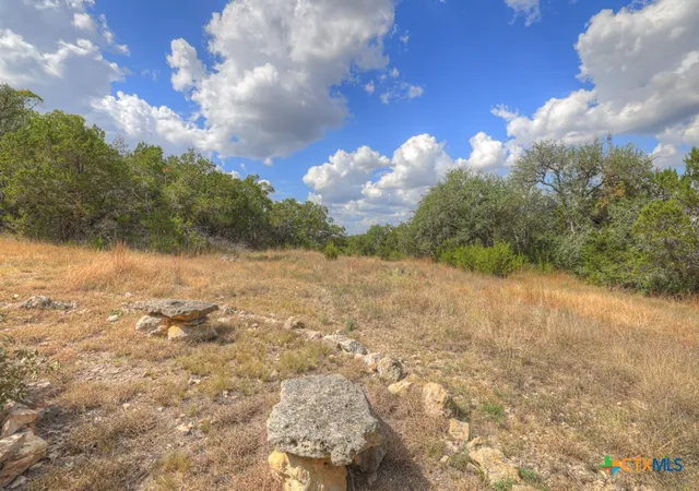 Homes for sale in Canyon Lake, TX | 911 Heritage Hl, Canyon Lake, TX 78133 | MLS# 594791