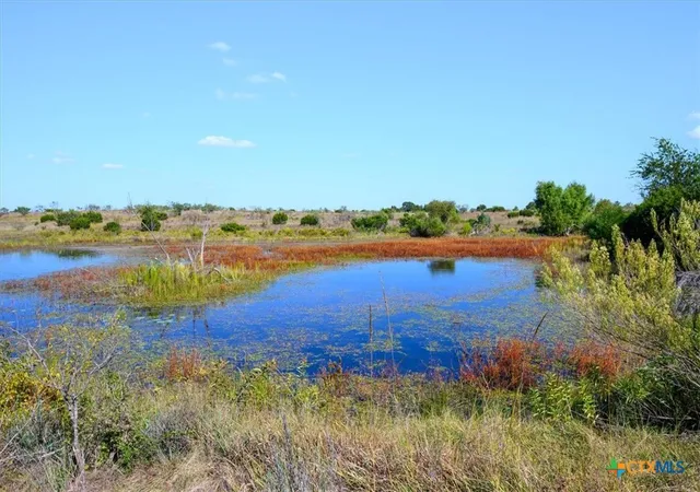 Homes for sale in Jonesboro, TX | Tbd-6163 Acres County Road 414, Jonesboro, TX 76538 | MLS# 595137