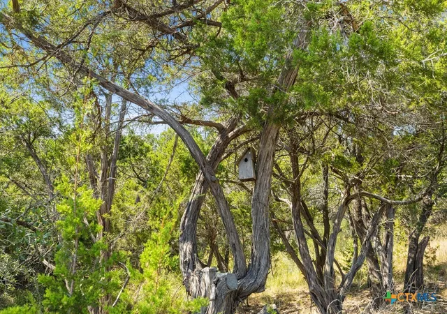 Photo 3 of Land for sale at Tract 2 Of 5818 Ranch Road 165, Blanco, TX 78606 | MLS# 595152 | Listing updated on 2026-03-02
