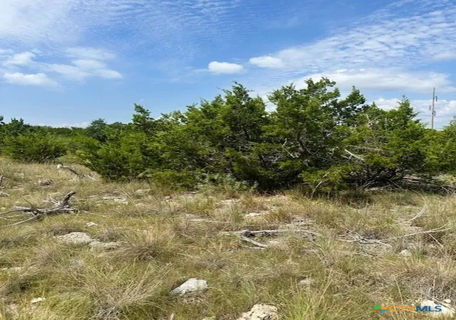Photo 3 of Land for sale at Lot 1 Soaring Eagle, Fischer, TX 78623 | MLS# 595359 | Listing updated on 2026-07-29