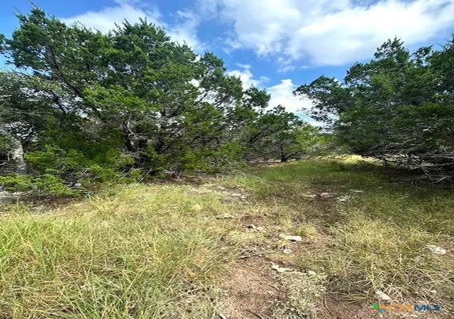 Photo 3 of Land for sale at Tbd Lot 4 Royal Eagle Dr, Fischer, TX 78623 | MLS# 595373 | Listing updated on 2026-07-29