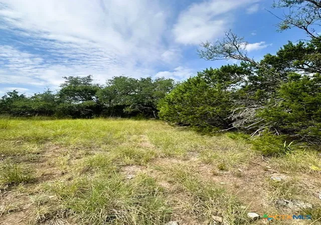 Photo 4 of Land for sale at Tbd Lot 4 Royal Eagle Dr, Fischer, TX 78623 | MLS# 595373 | Listing updated on 2026-07-29