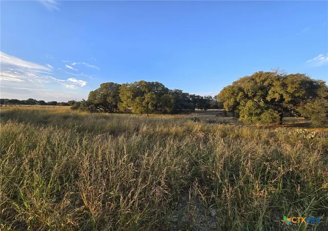 Homes for sale in Oglesby, TX | Tbd Yellowstone Dr, Oglesby, TX 76561 | MLS# 594548