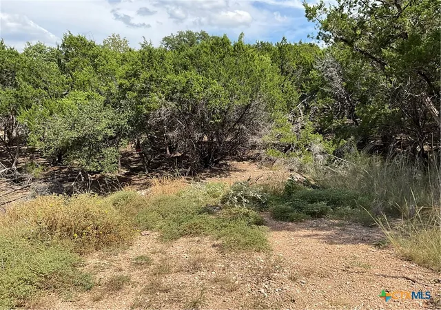 12th image of 20904 Tomahawk St, Leander, TX 78645 | MLS# 595760