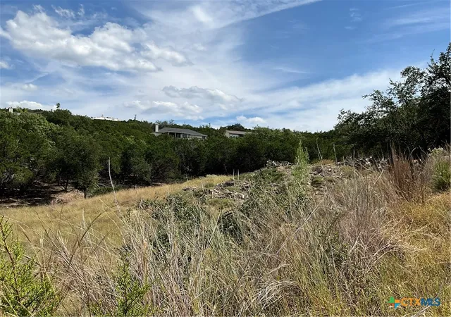 5th image of 20904 Tomahawk St, Leander, TX 78645 | MLS# 595760