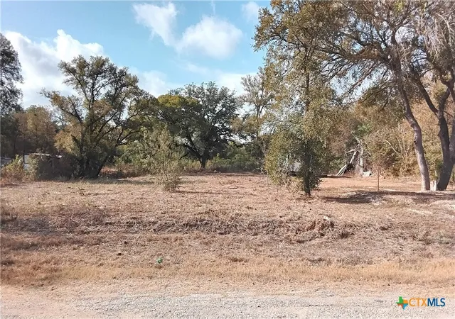 Homes for sale in Waelder, TX | Tbd N Blk Ave, Waelder, TX 78959 | MLS# 596348