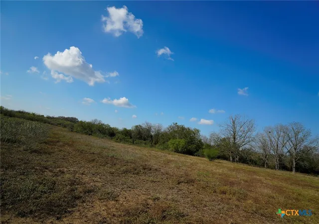 Homes for sale in Waelder, TX | Tr 12 Cr 447, Waelder, TX 78959 | MLS# 596497