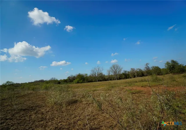 Homes for sale in Waelder, TX | Tr 12 Cr 447, Waelder, TX 78959 | MLS# 596497
