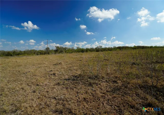 Homes for sale in Waelder, TX | Tr 12 Cr 447, Waelder, TX 78959 | MLS# 596497