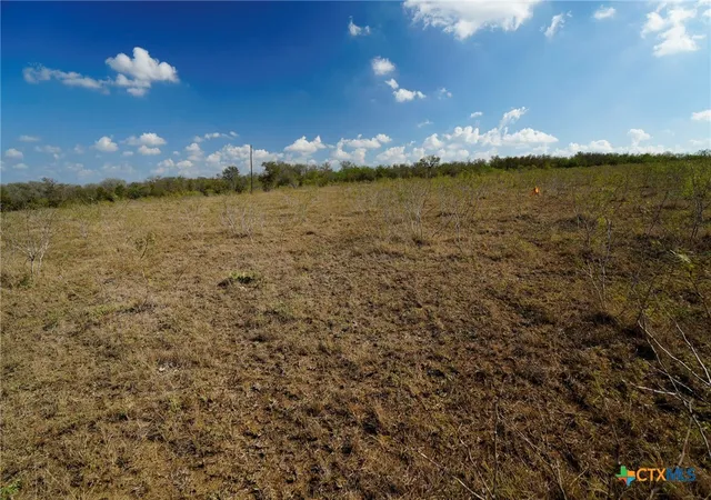 Homes for sale in Waelder, TX | Tr 12 Cr 447, Waelder, TX 78959 | MLS# 596497
