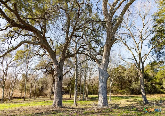 2nd image of 511 Cr 362 #Lot 2, Shiner, TX 77984 | MLS# 596811