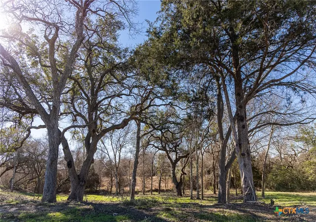 3rd image of 511 Cr 362 #Lot 2, Shiner, TX 77984 | MLS# 596811
