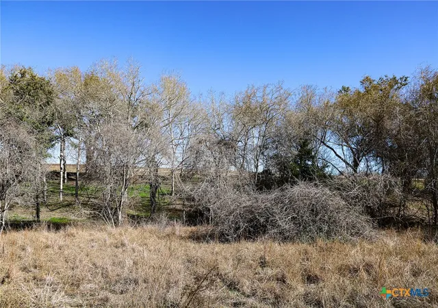 10th image of 511 Cr 362 #Lot 3, Shiner, TX 77984 | MLS# 596810