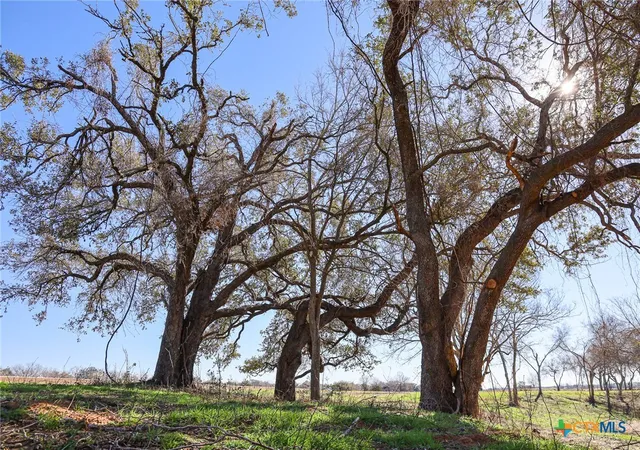 2nd image of 511 Cr 362 #Lot 3, Shiner, TX 77984 | MLS# 596810