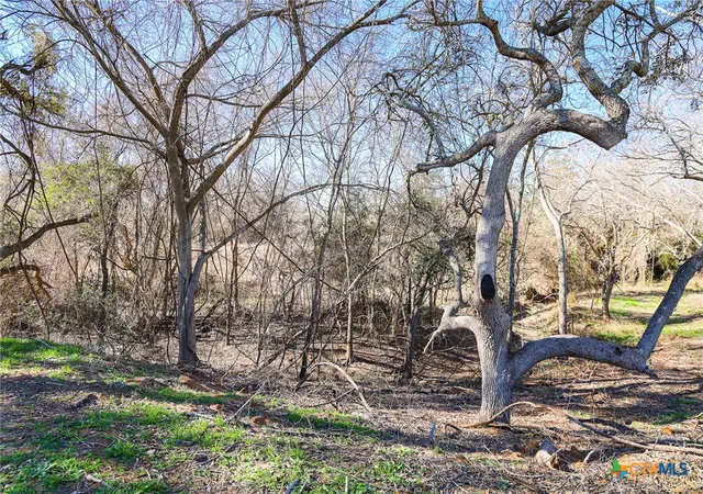 3rd image of 511 Cr 362 #Lot 3, Shiner, TX 77984 | MLS# 596810