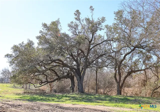 4th image of 511 Cr 362 #Lot 3, Shiner, TX 77984 | MLS# 596810