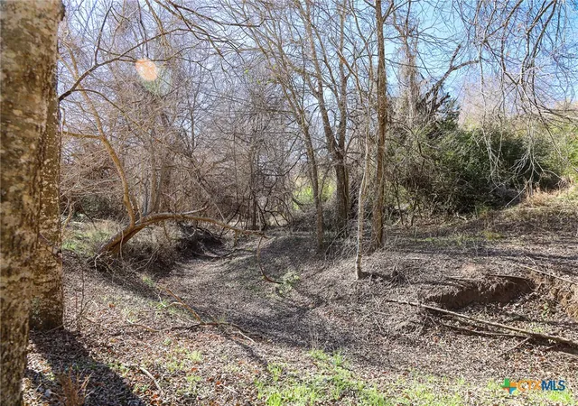 10th image of 511 Cr 362 #Lot 5, Shiner, TX 77984 | MLS# 596808