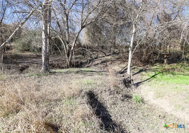 3rd image of 511 Cr 362 #Lot 5, Shiner, TX 77984 | MLS# 596808