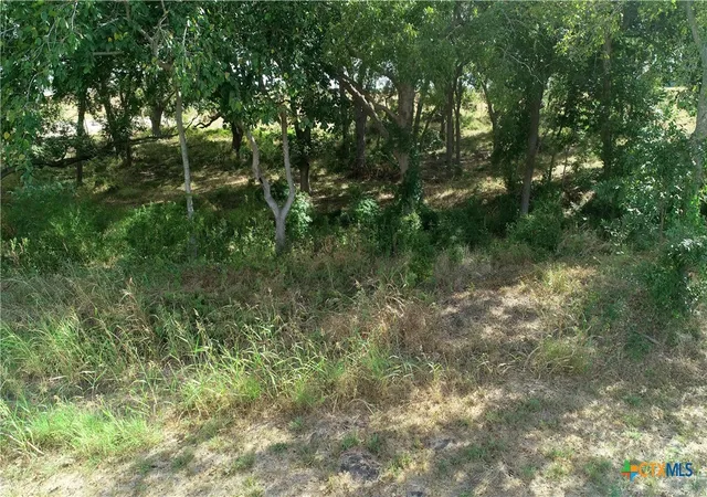 Photo 4 of Land for sale at 511 Cr 362 #8, Shiner, TX 77984 | MLS# 596805 | Listing updated on 2026-07-16