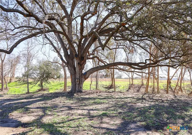 3rd image of 511 Cr 362 #Lot 9, Shiner, TX 77984 | MLS# 596804