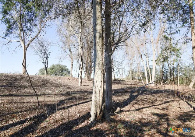 4th image of 511 Cr 362 #Lot 14, Shiner, TX 77984 | MLS# 596797
