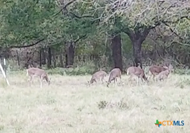 14th image of Tbd Vilas Rd, Holland, TX 76534 | MLS# 597060