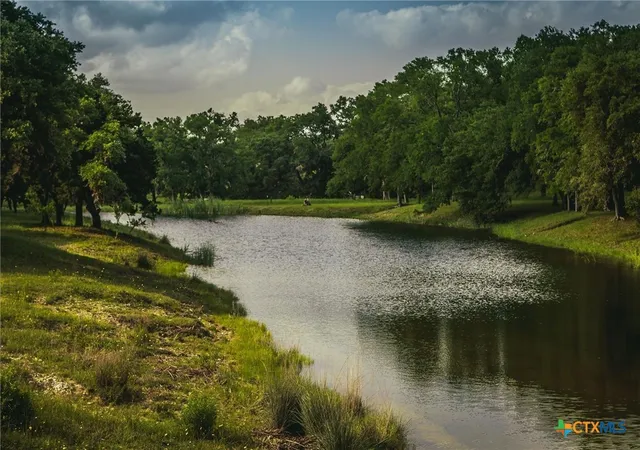 40th image of 353 Agarita Way, Johnson City, TX 78636 | MLS# 597538