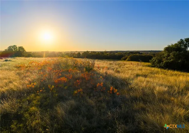 Homes for sale in Hamilton, TX | Tbd County Road 511, Hamilton, TX 76531 | MLS# 598012