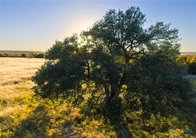 Homes for sale in Hamilton, TX | Tbd County Road 511, Hamilton, TX 76531 | MLS# 598012