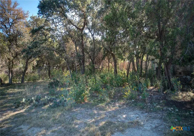 1st image of 1042 Janet Dr, Canyon Lake, TX 78133 | MLS# 598222