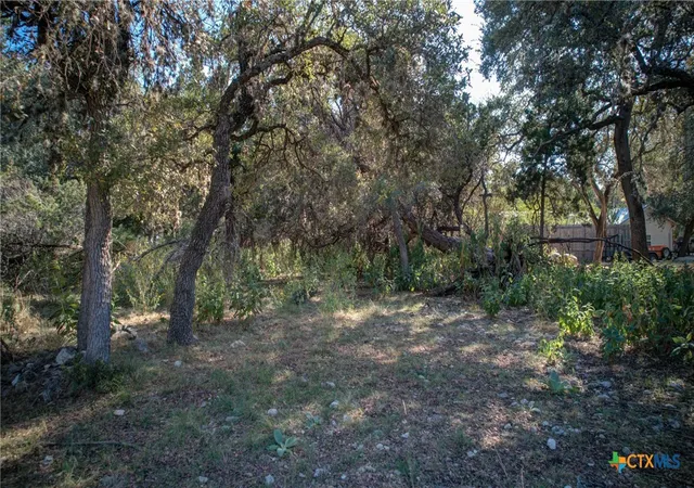 Photo 3 of Land for sale at 1042 Janet Dr, Canyon Lake, TX 78133 | MLS# 598222 | Listing updated on 2025-11-18