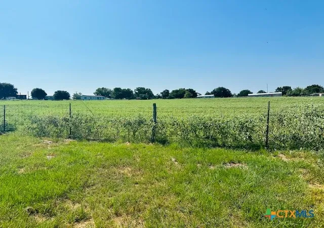Homes for sale in Schulenburg, TX | 1212 Babylon Lane, Schulenburg, TX 78956 | MLS# 598425