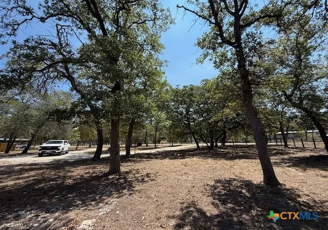 4th image of 263 Hickory Hill Dr, La Vernia, TX 78121 | MLS# 598440